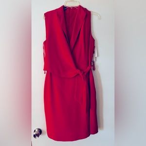 Jones New York Rosy Pink V Neck Dress